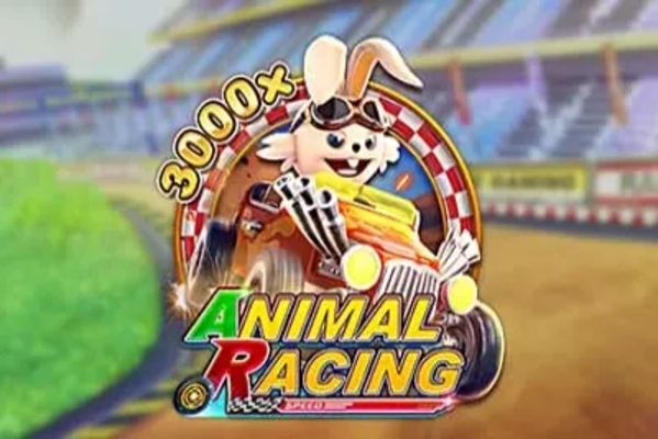 Animal Racing